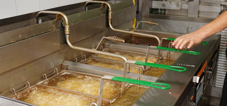 Signature Commercial Fryer Repair in Kitchener